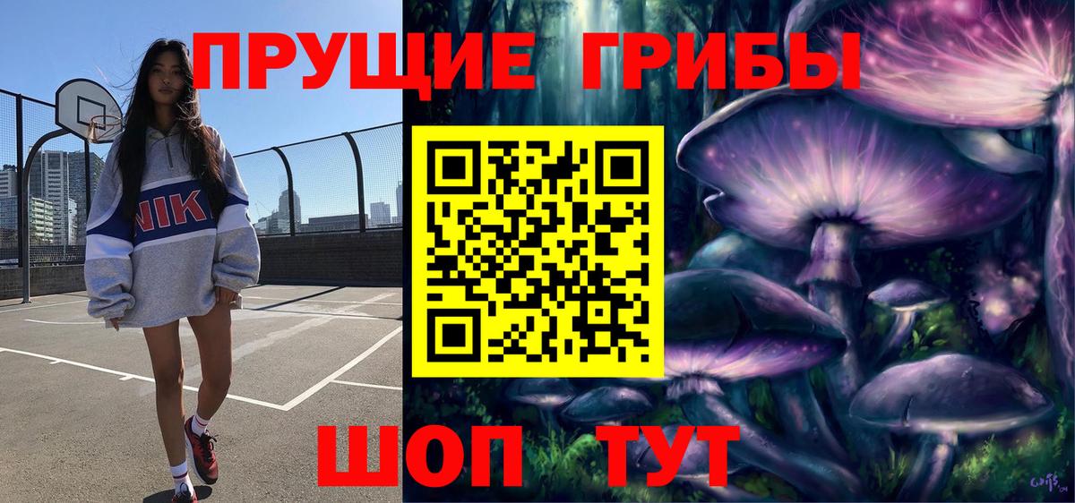 Псилоцибиновые грибы GOLDEN TEACHER Шатура